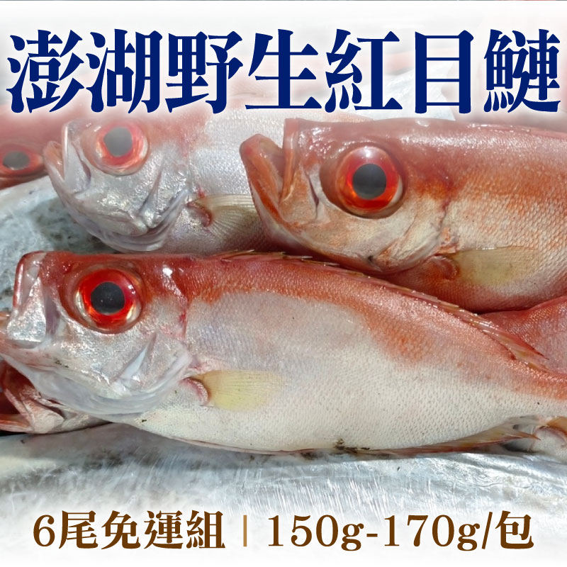 (6尾免運組)【海味福】澎湖野生紅目鰱(150g-170g/包)