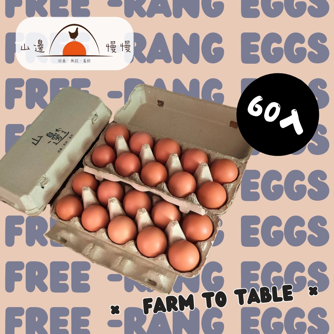 【山邊慢慢_放牧雞蛋】60顆含運組(6盒)