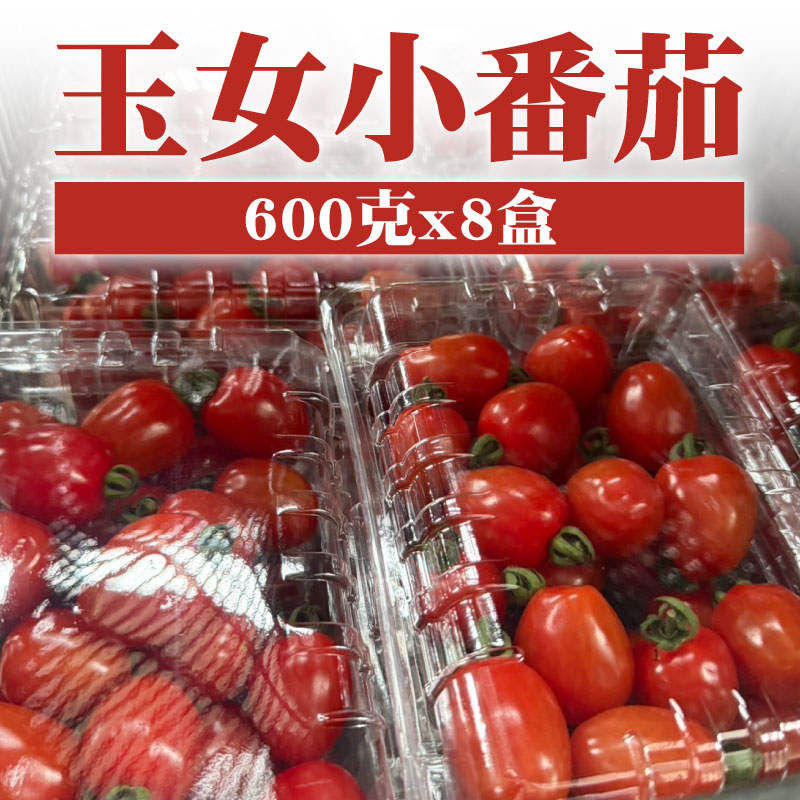 【福倪農場】玉女小番茄600克*8盒