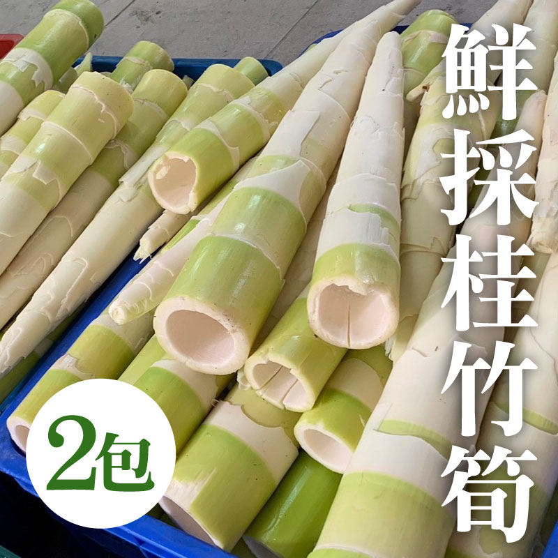 優惠預購中【我的大冰箱】鮮採桂竹筍 2包
