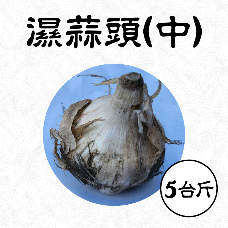 雲林無毒濕蒜頭(中)-(5台斤/箱)