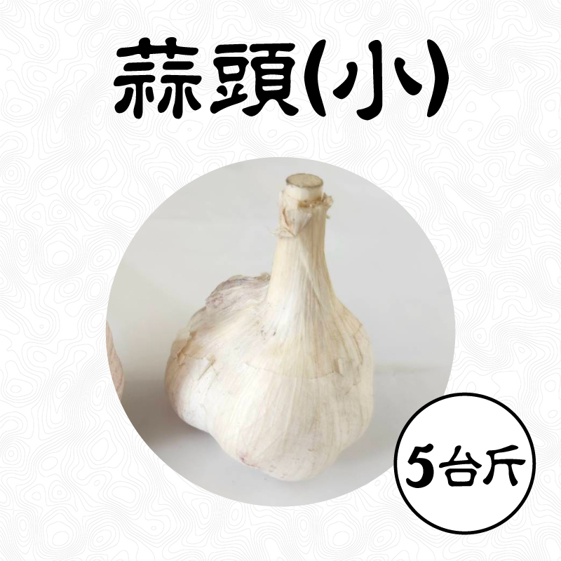 雲林無毒蒜頭(小)-(5台斤/箱)(半乾蒜)