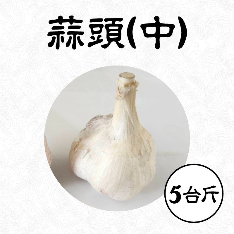 雲林無毒蒜頭(中)-(5台斤/箱)(半乾蒜)