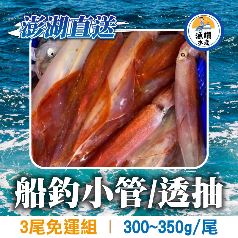 (3尾免運組)【漁讚水產行】船釣小管(透抽)(300~350g/尾)