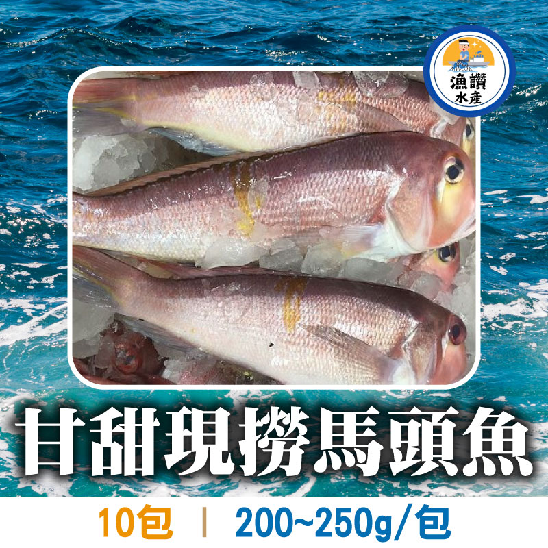 大團購(10包)【漁讚水產行】甘甜現撈馬頭魚(200~250g/包)