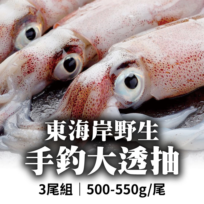 (3尾組)【台東初蝦】東海岸野生手釣大透抽(500-550g/尾)