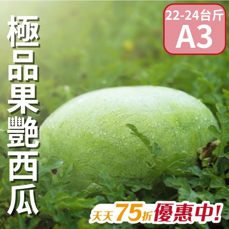 【天天75折】果艷西瓜A3(22~24台斤)