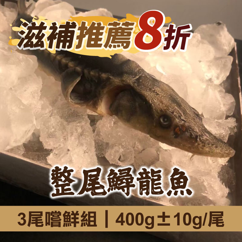 👑滋補推薦8折(3尾嚐鮮組)【慢食優鮮】整尾鱘龍魚(400g±10g/尾)