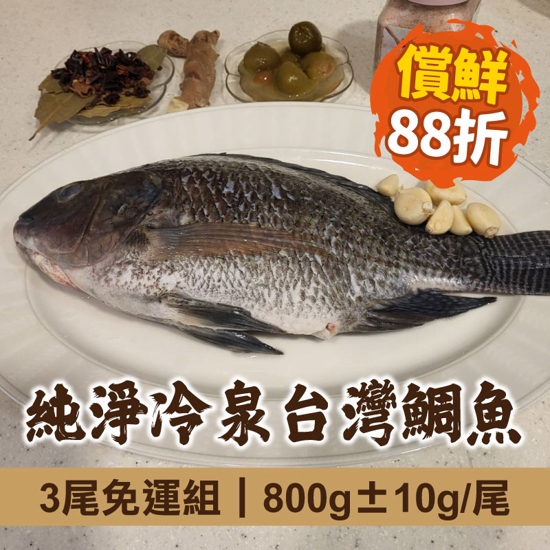 (3尾免運組)【慢食優鮮】純淨冷泉台灣鯛(800g±10g/尾)