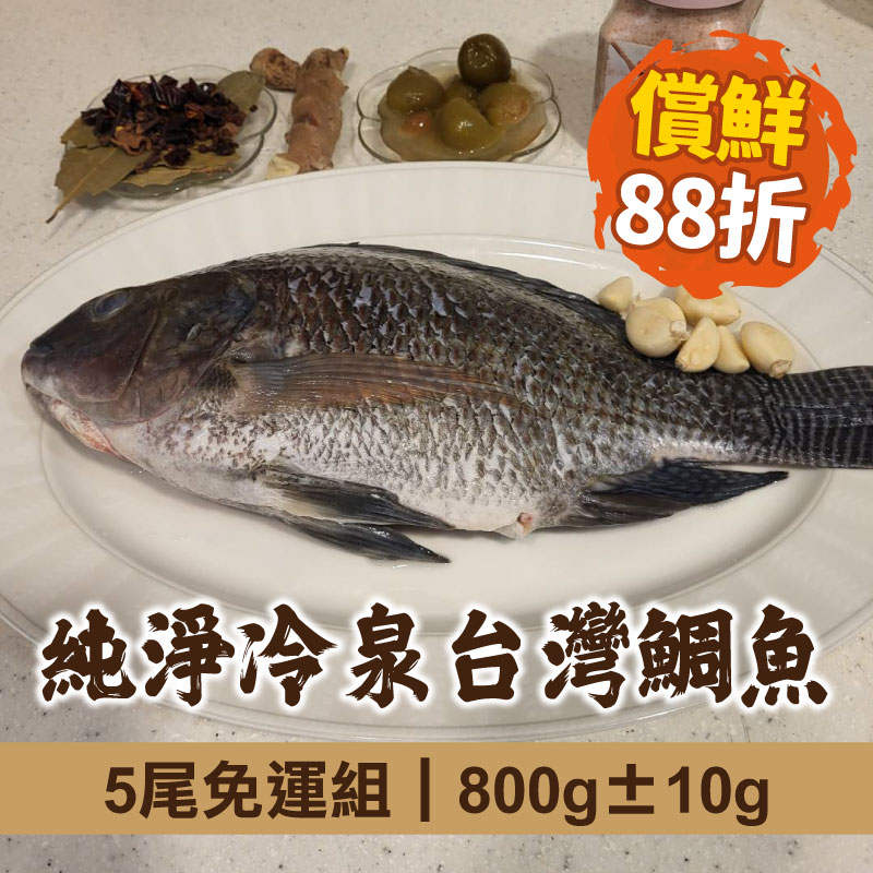 (5尾免運組)【慢食優鮮】純淨冷泉台灣鯛魚(800g±10g)