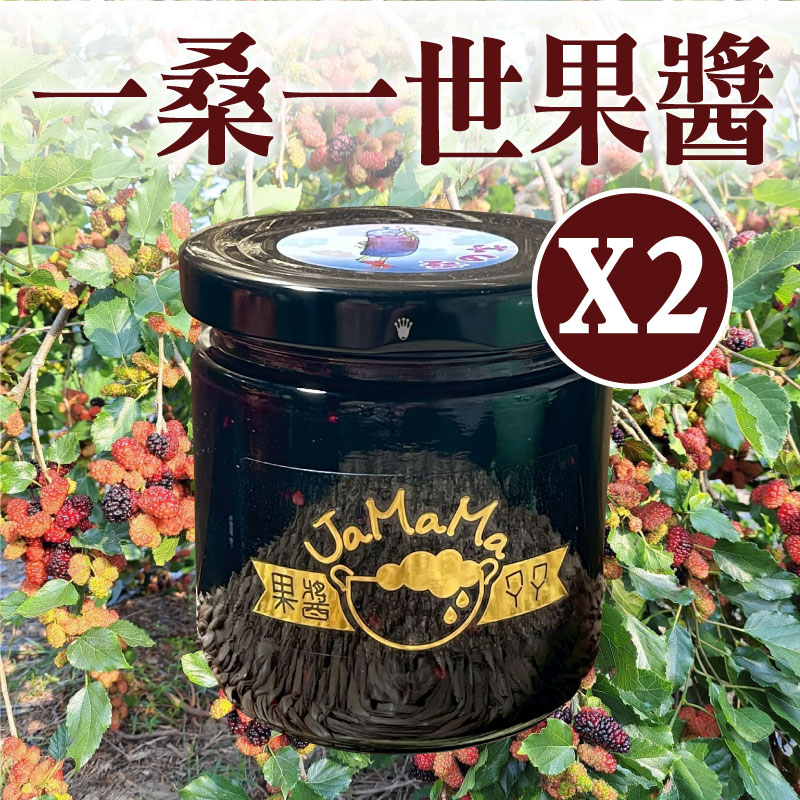 (2入組)【JaMaMa果醬媽媽】一桑一世果醬(約240g/瓶)