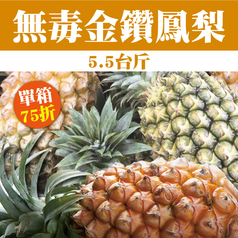 【旺來嫂】無毒金鑽鳳梨5.5台斤