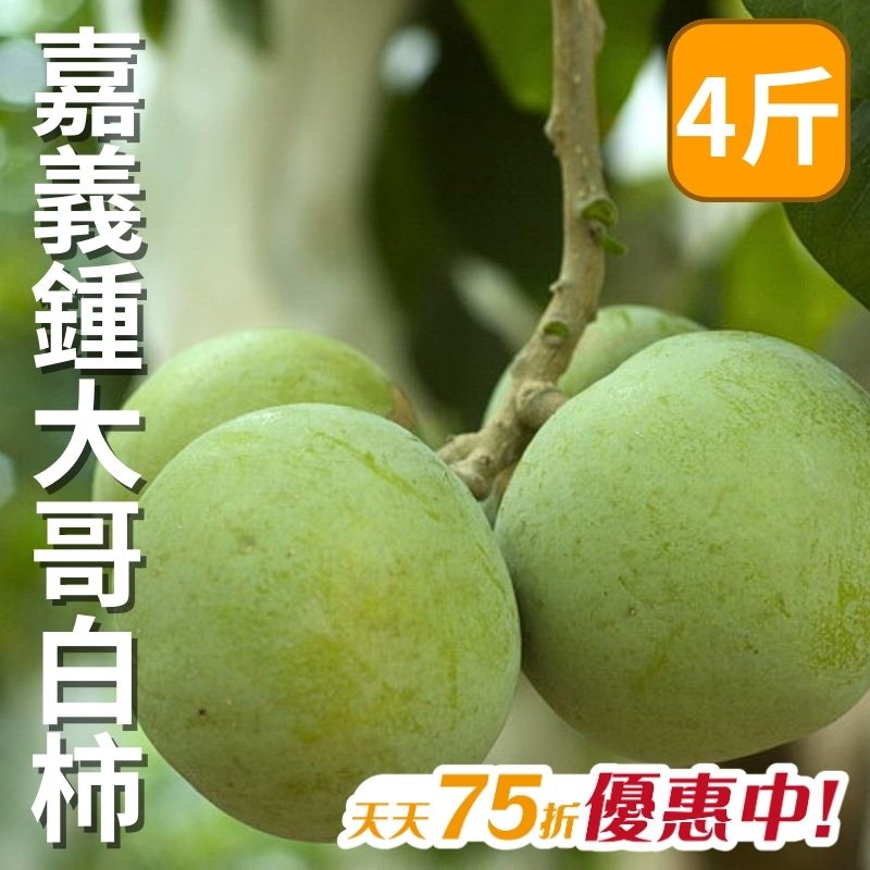 【天天75折】鍾家ICF白柿(4台斤)