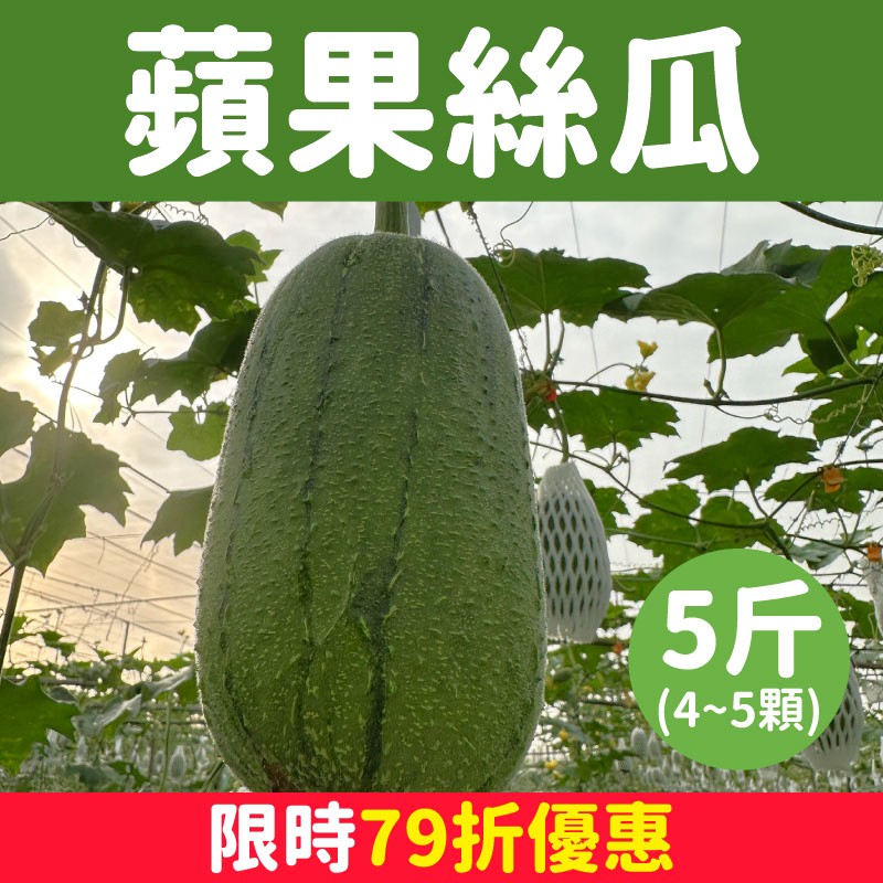 【搞剛農夫】蘋果絲瓜5斤裝(4~5顆)