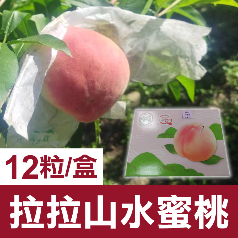 【桃之夭夭】拉拉山水蜜桃12粒