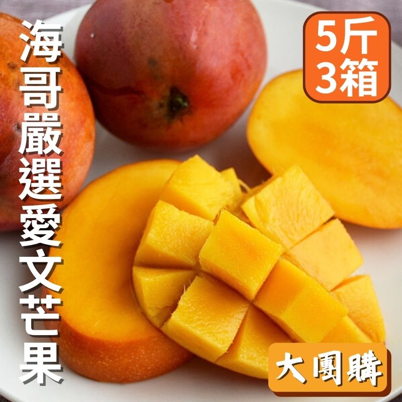 【大團購】海哥愛文芒果(5台斤)*3箱