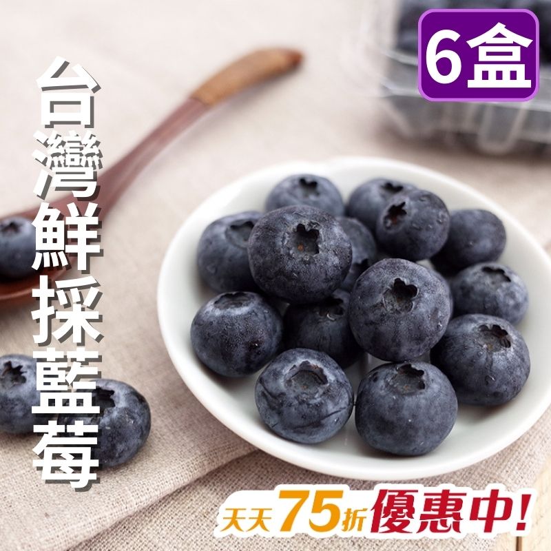 【天天75折】台灣鮮採藍莓(6盒)