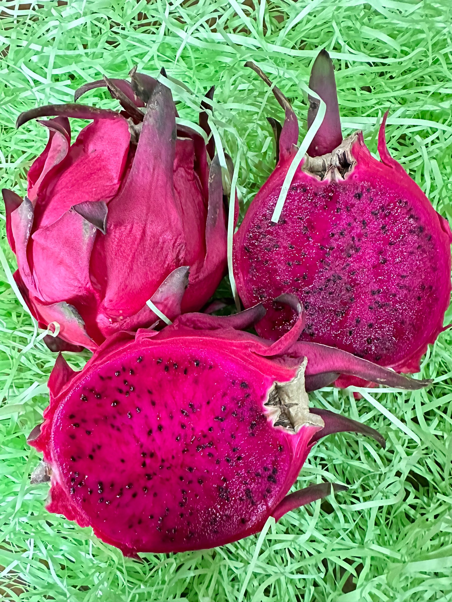【明豐果品】火龍果(紅肉)(5台斤/箱)