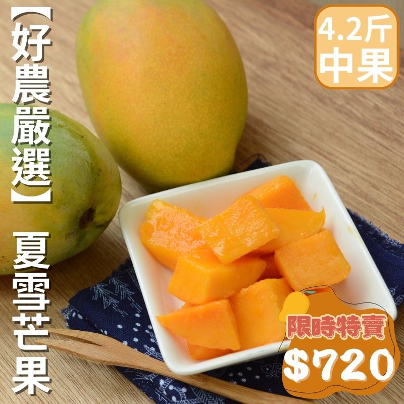 【限時特賣】好農嚴選-夏雪芒果(中果) 4.2斤