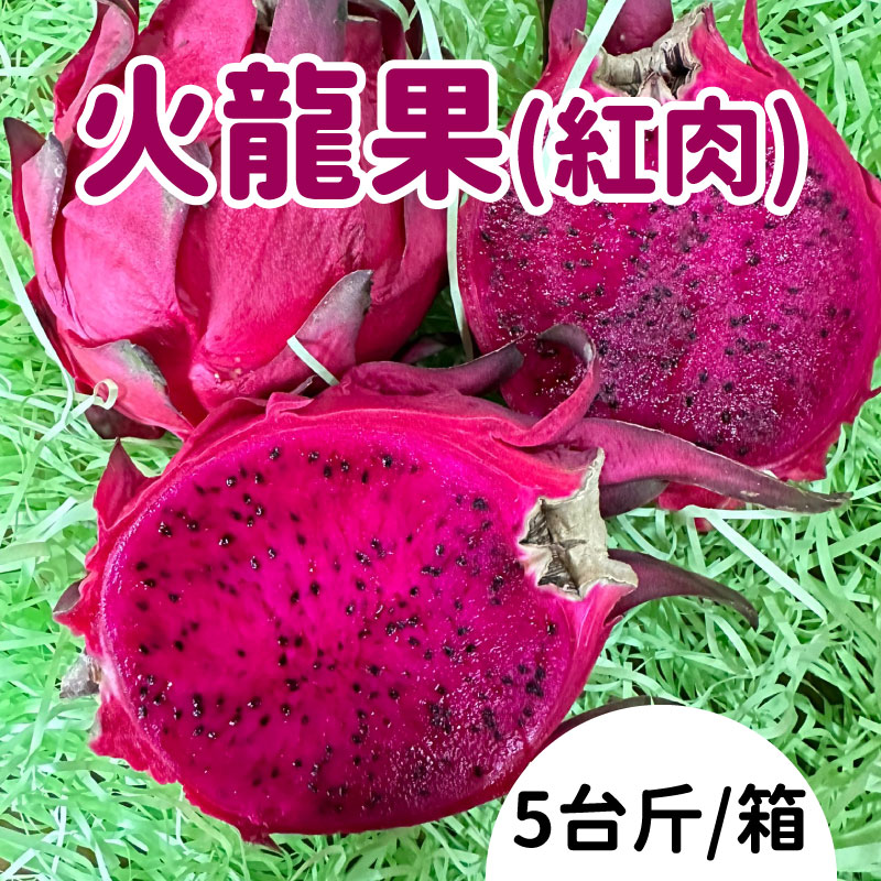【明豐果品】火龍果(紅肉)(5台斤/箱)