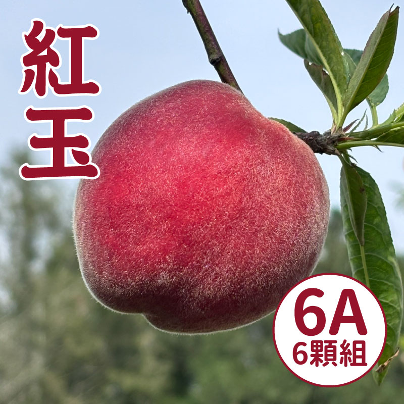 【WU凍桃蔬果園】紅玉水蜜桃(6A)6顆裝