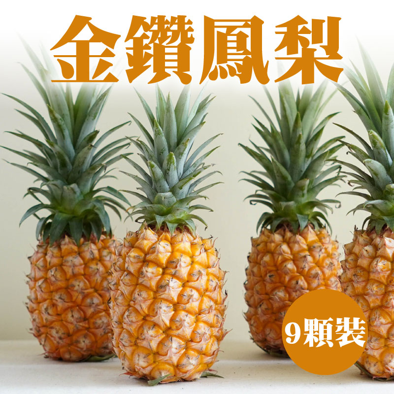 星農場鳳梨 金鑽鳳梨9顆裝