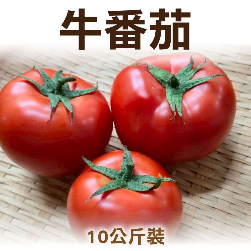 【藏津顏選】牛番茄｜10公斤裝