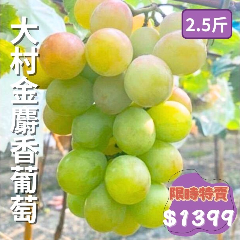 【限時優惠】大村金麝香葡萄(2.5斤/盒)