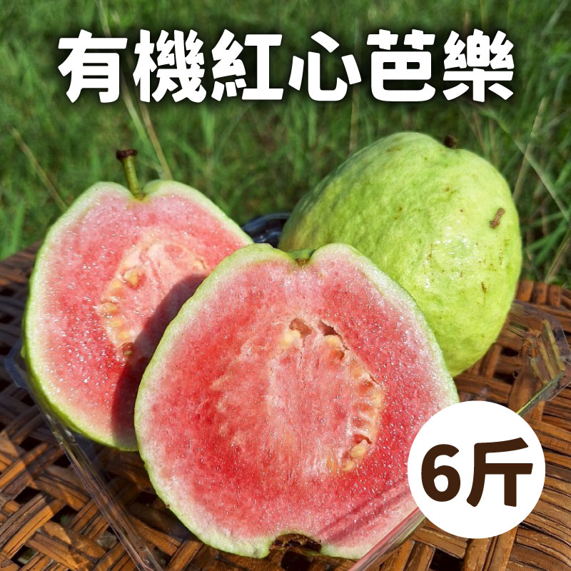 【1頂1農園】有機紅心芭樂6斤箱
