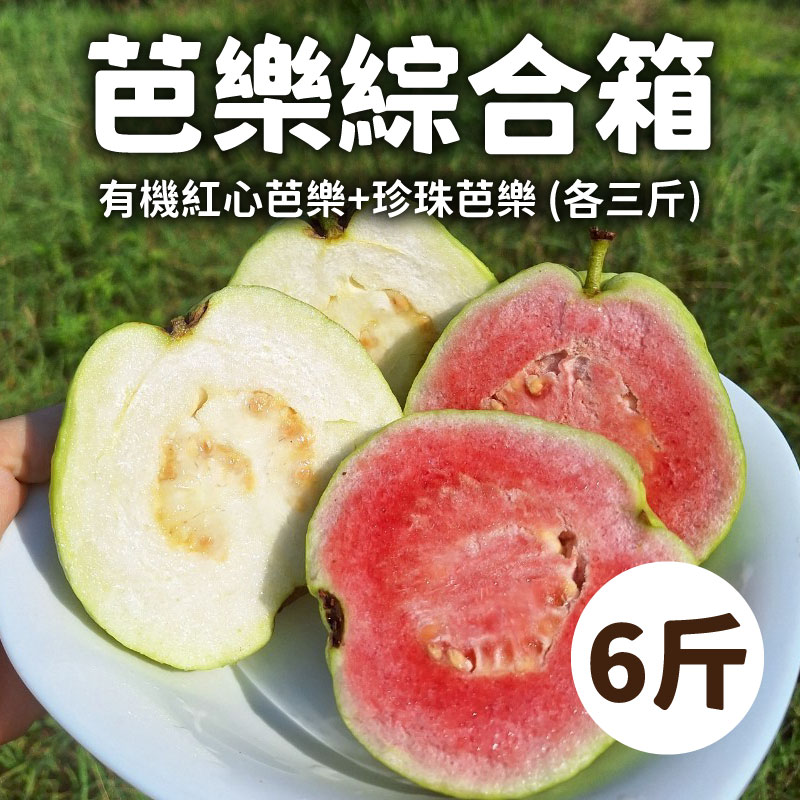 【1頂1農園】有機紅心芭樂*珍珠芭樂 6斤綜合箱(各三斤)