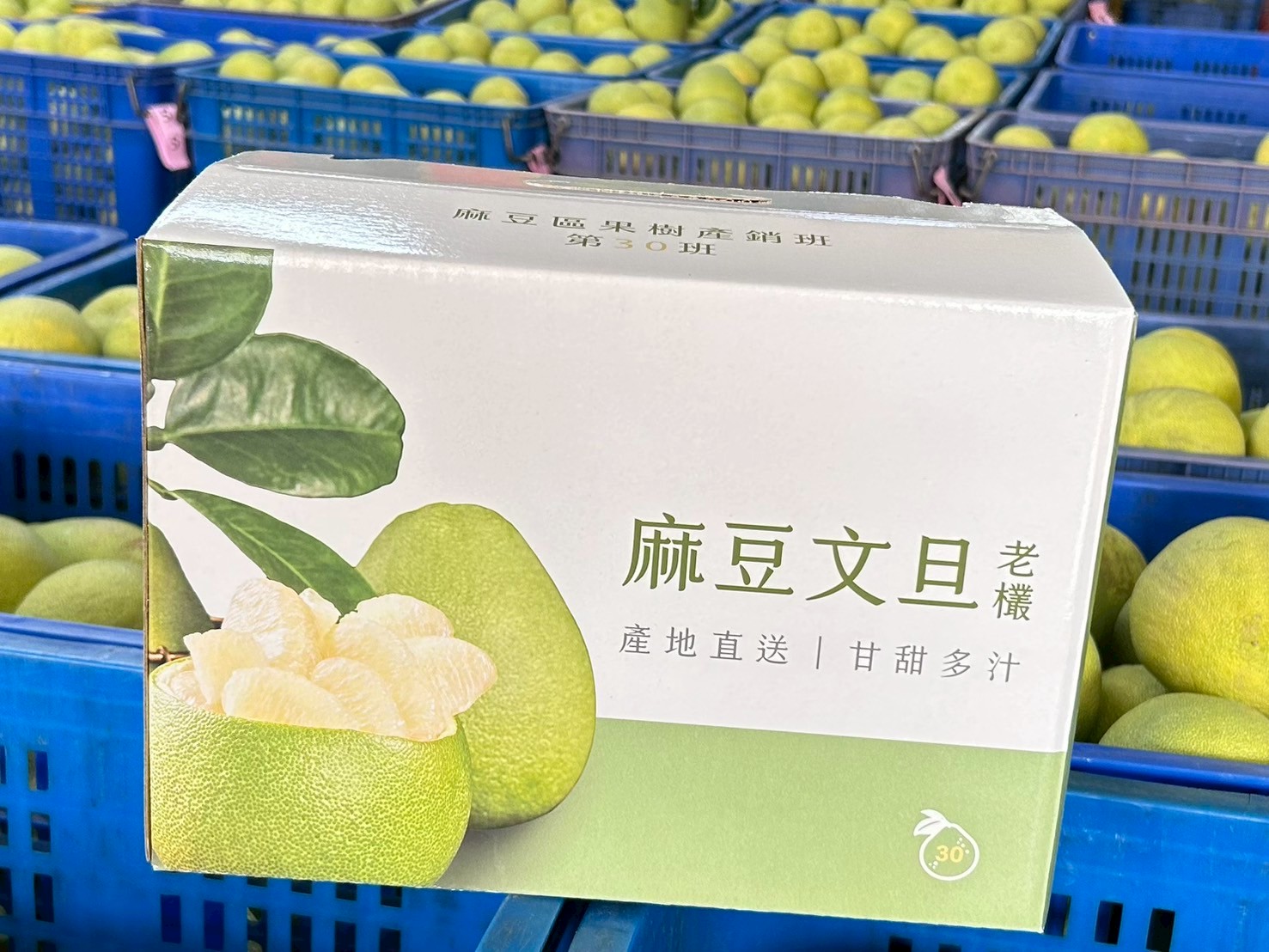 廣璊農產行 老欉30年文旦5斤/盒