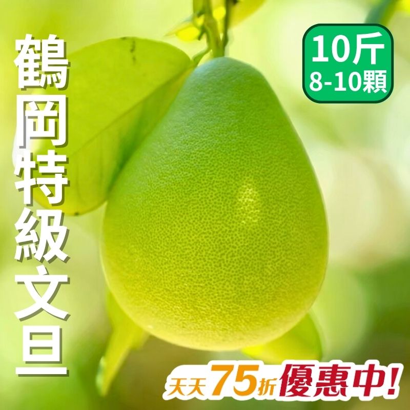 【天天75折】鶴岡特級文旦柚禮盒8-10粒裝