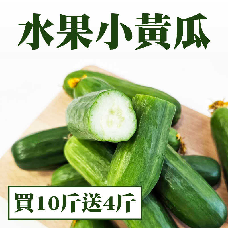 溫室栽培⭐無毒水果小黃瓜 (14台斤/箱)