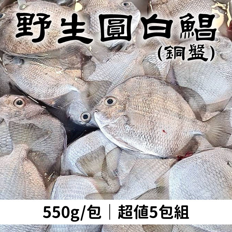 (超值5包組)【海星星】野生圓白鯧（銅盤）(550g/包)