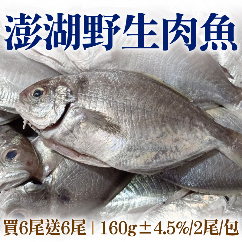 (買6尾送6尾)【海味福】澎湖野生肉魚(160g±4.5%/2尾/包)
