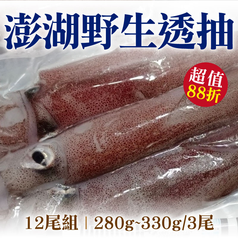 (12尾超值組)【海味福】澎湖野生透抽(3尾/280~330g/包)
