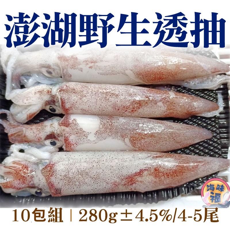 (10包組)【海味福】澎湖野生透抽(4-5尾/280g±4.5%)