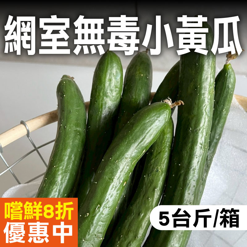 【明昇果園】網室無毒小黃瓜(5台斤/箱)