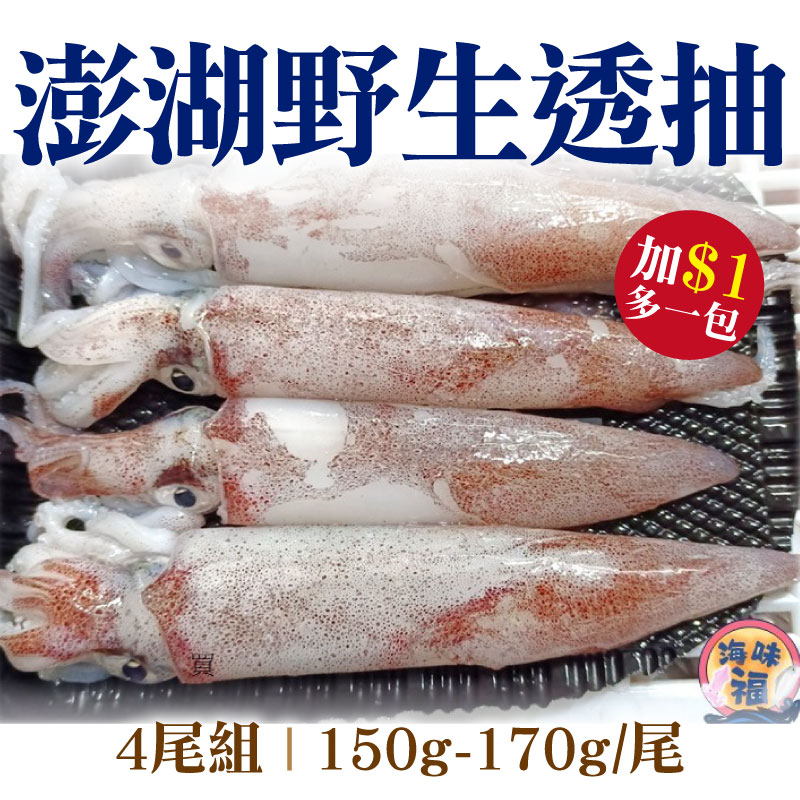 加購$1 多一尾  (4尾組)【海味福】澎湖野生透抽(150g-170g/尾)