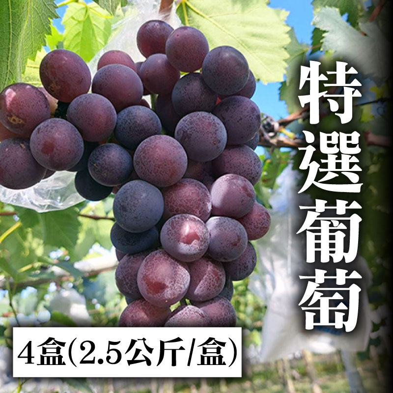 ❗產銷履歷❗葡萄三冠王【松原農庄】4盒-特選葡萄 (2.5公斤/盒)
