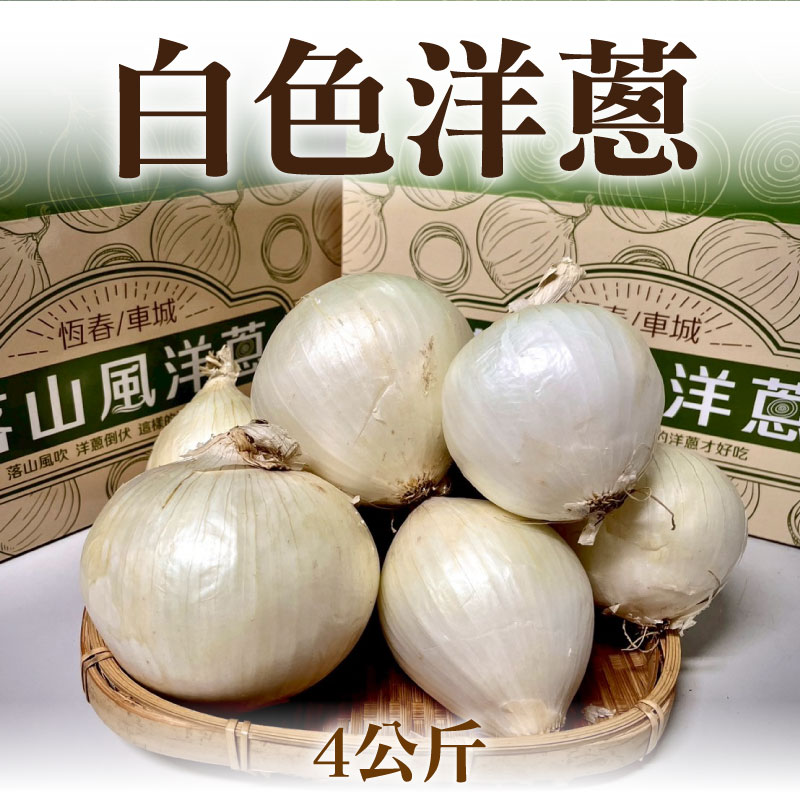 【鐵人洋蔥】白色洋蔥(4公斤)