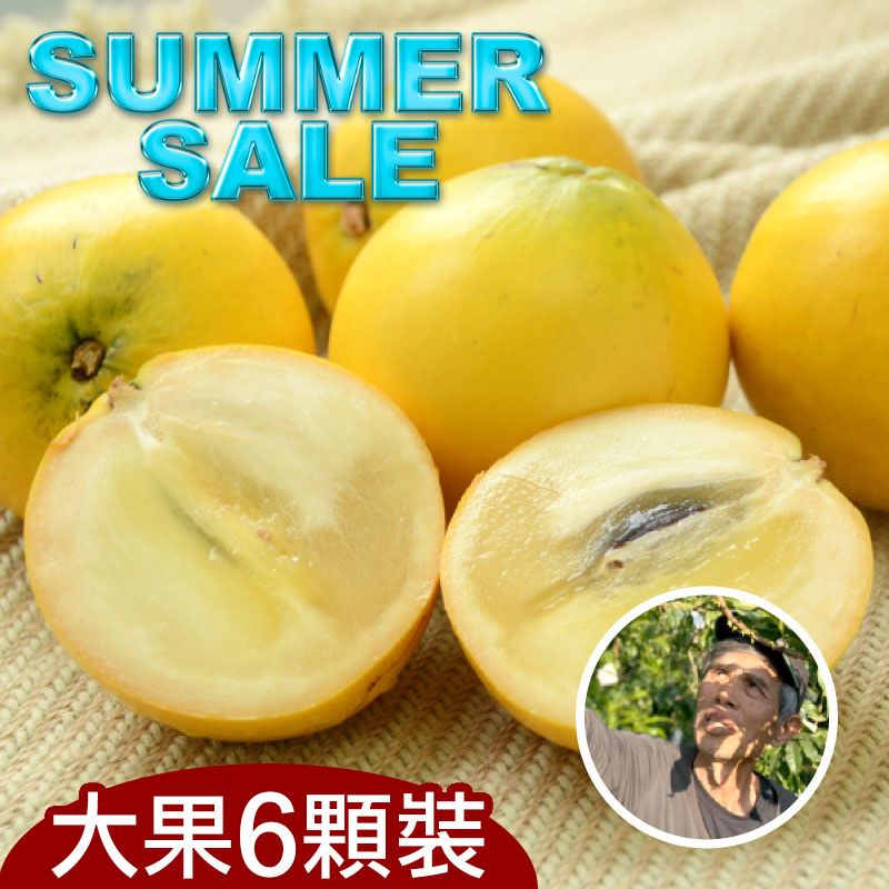 【夏季促銷】不一樣鱷魚黃金果(大果)(6顆裝)