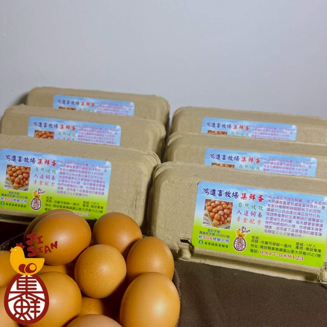 集鮮蛋 放牧土雞蛋10粒×6盒