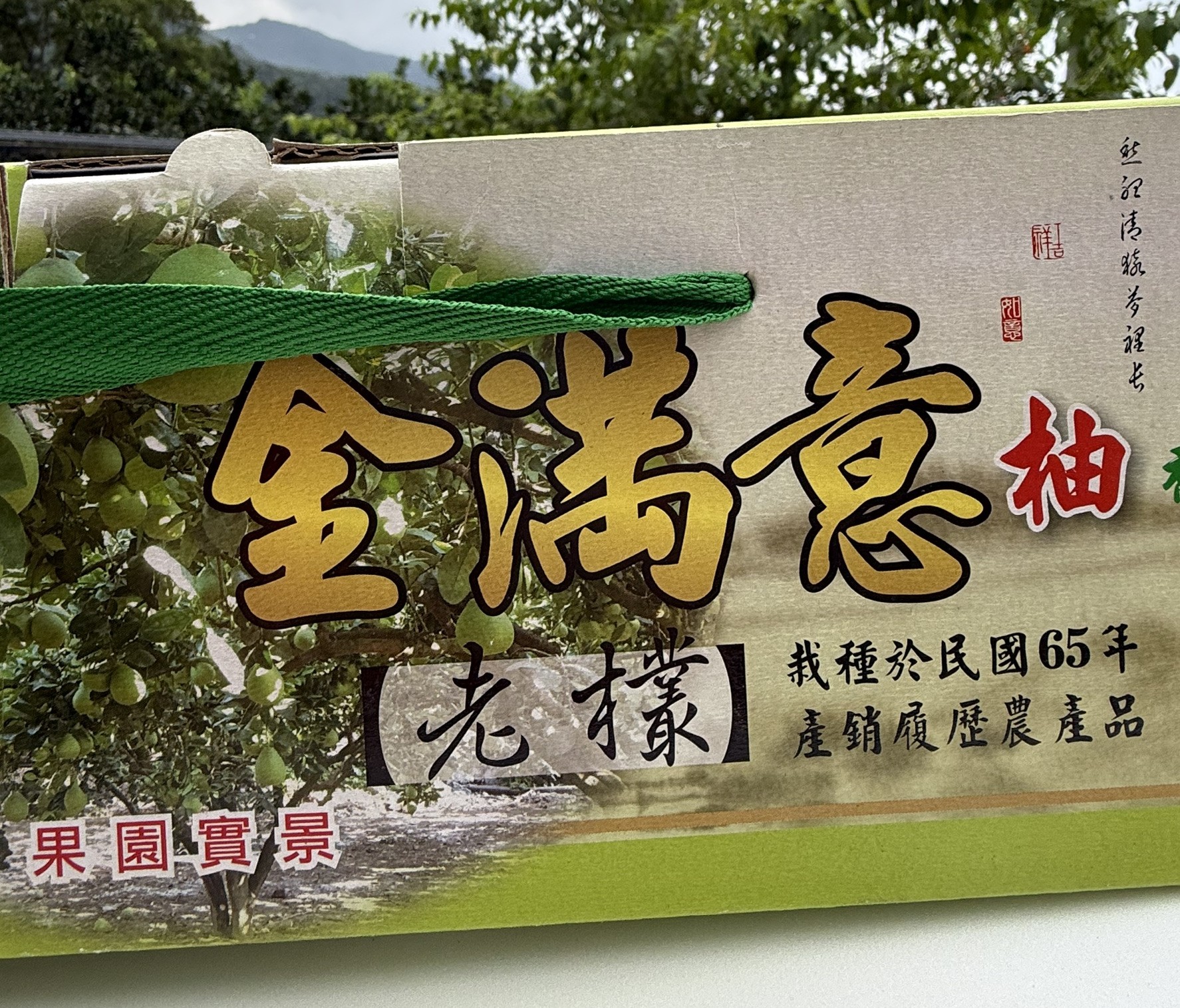 【金滿意】極品老欉文旦(5斤/盒)