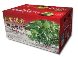【金滿意】嚴選老欉文旦(10斤/箱)(9-11粒)