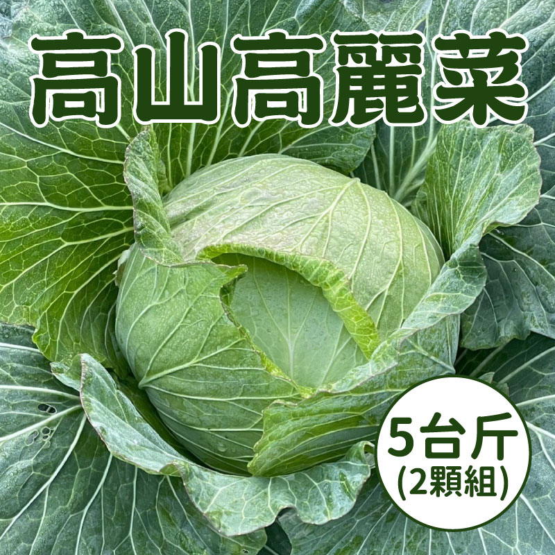 🔥8折優惠中🔥【WU凍桃蔬果園】高山高麗菜(2顆)(5台斤)